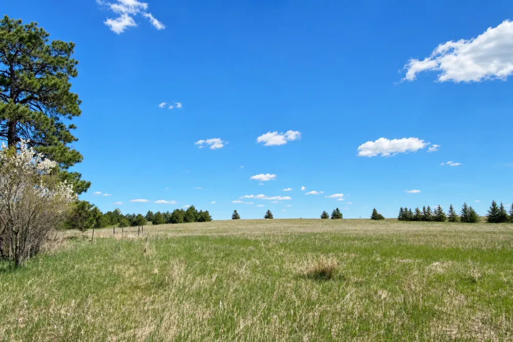 18280 County 11 Park Rapids, MN 56470