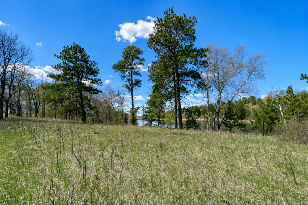 18280 County 11 Park Rapids, MN 56470