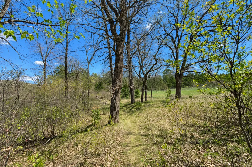 18280 County 11 Park Rapids, MN 56470