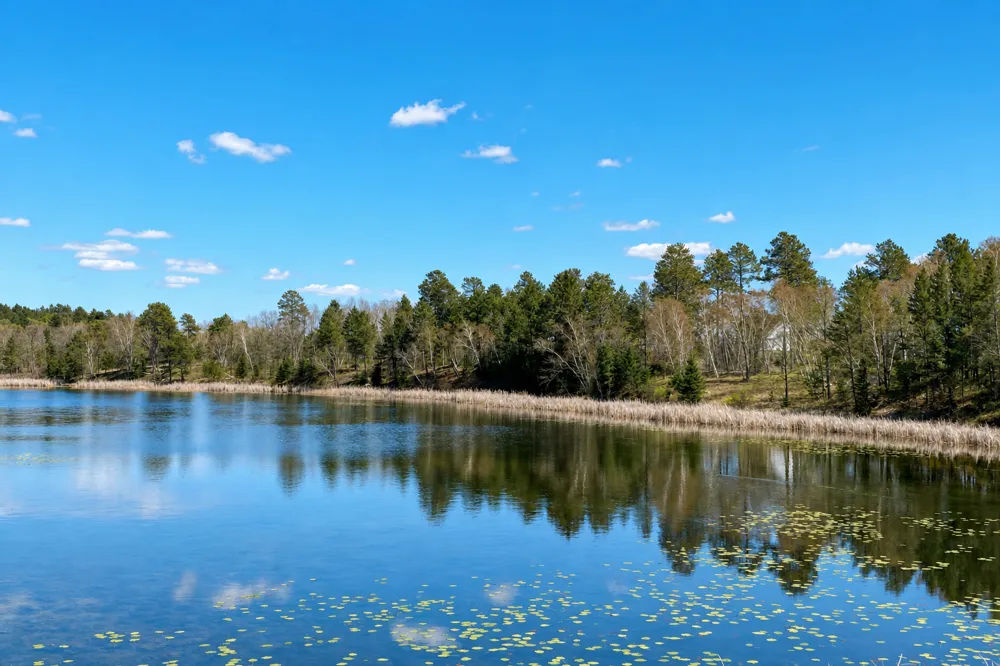 18280 County 11 Park Rapids, MN 56470