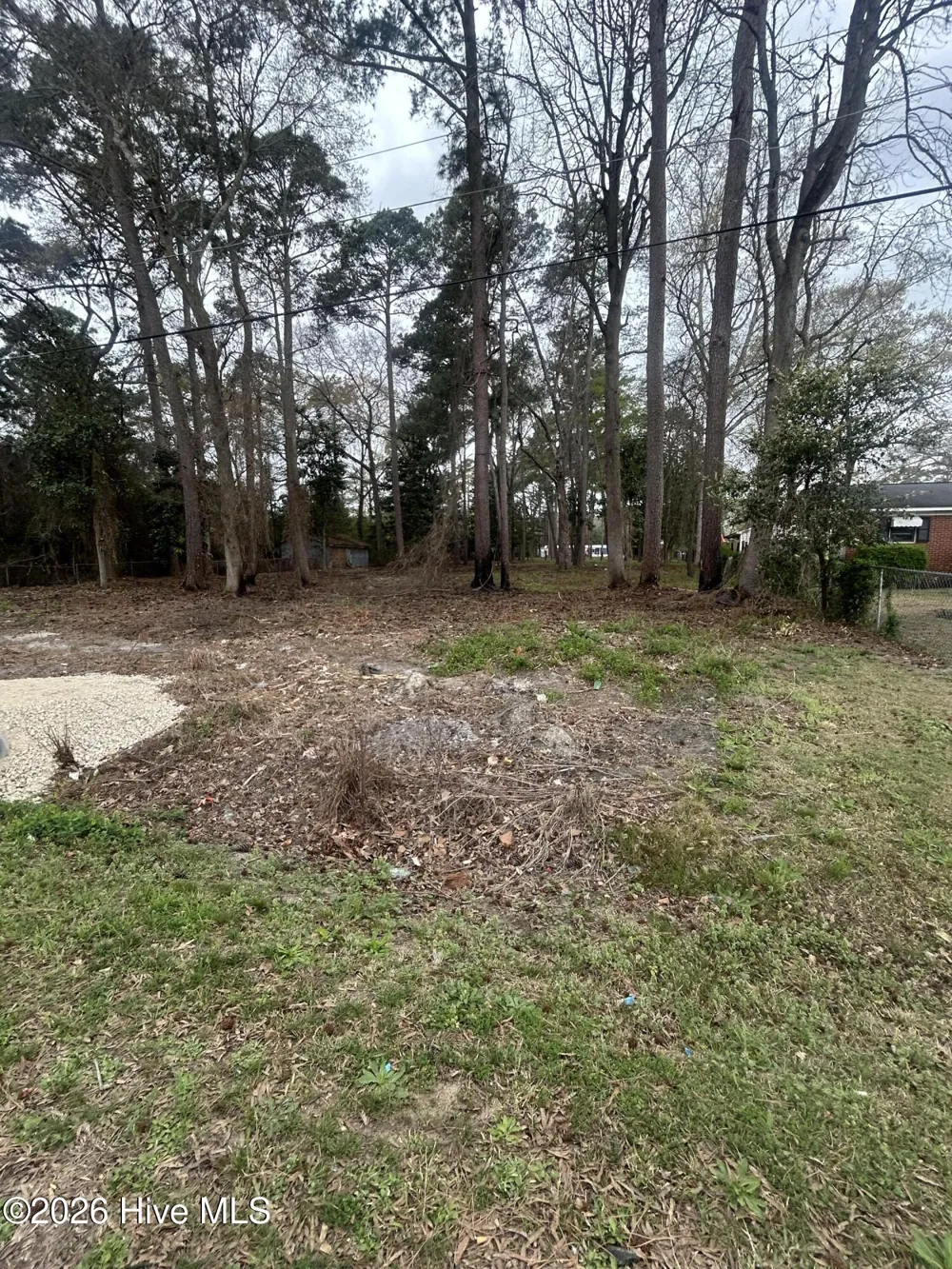 205 Nancy Drive Dudley, NC 28333