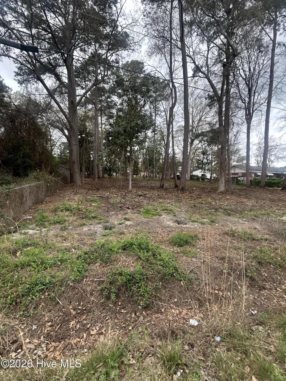 205 Nancy Drive Dudley, NC 28333