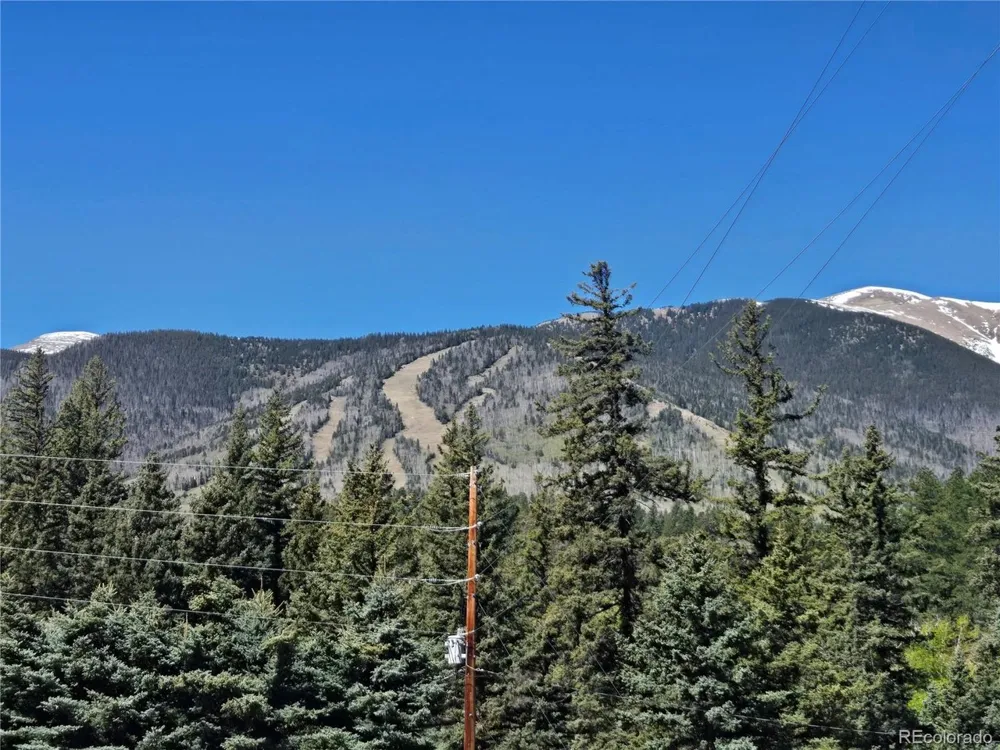 25 Cottonwood Trail La Veta, CO 81055