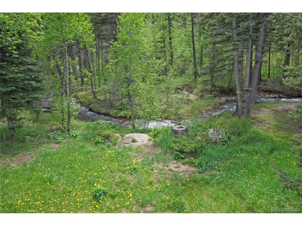 25 Cottonwood Trail La Veta, CO 81055