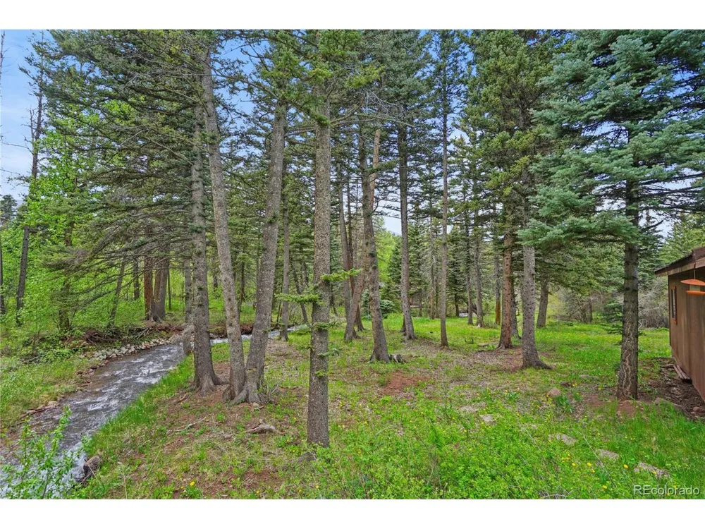 25 Cottonwood Trail La Veta, CO 81055