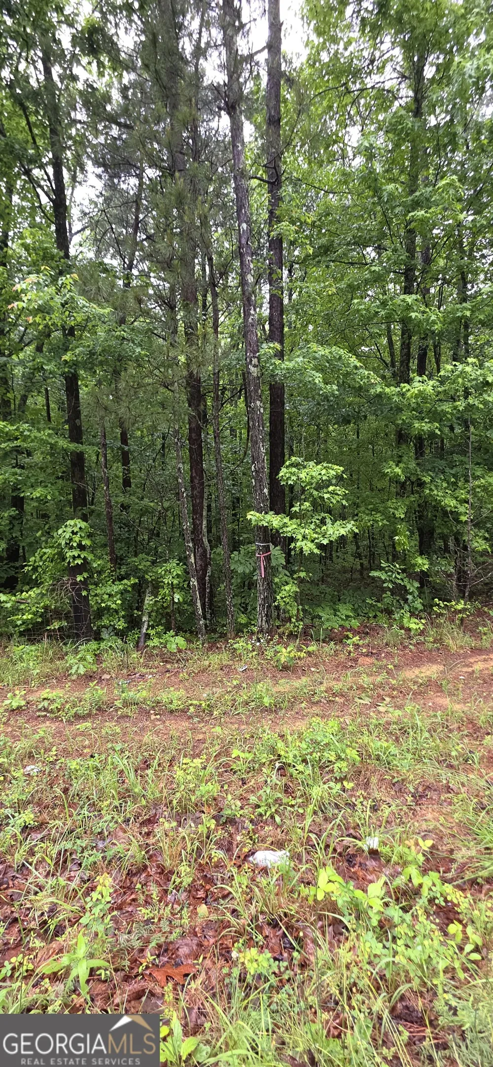0 Brewsterfield RD Cedartown, GA 30125