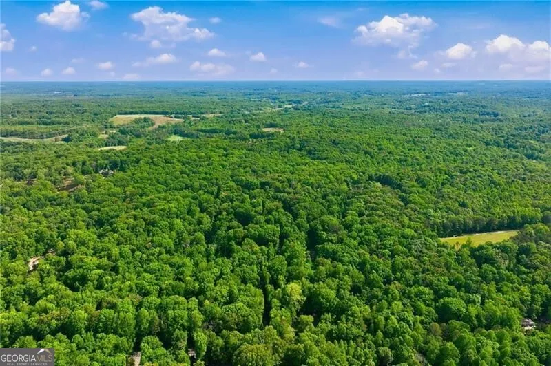4264 Joe Chandler RD Gillsville, GA 30543