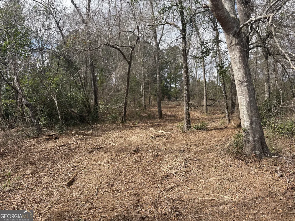 L2&3 Keysville-Boggs Academy RD Keysville, GA 30816