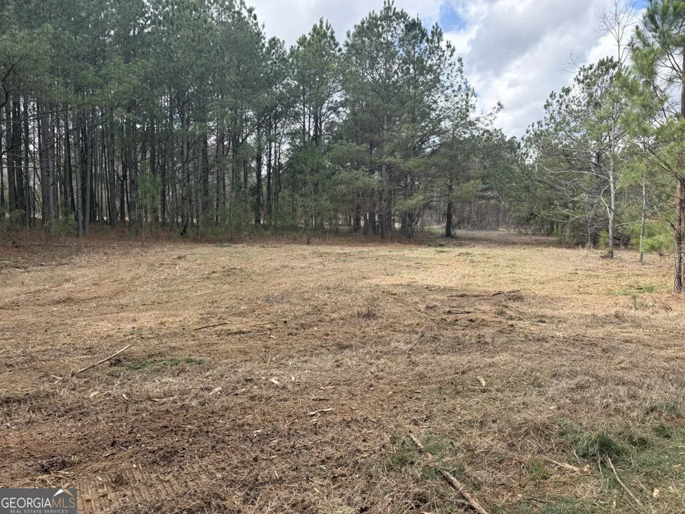 L2 Keysville-Boggs Academy RD Keysville, GA 30816