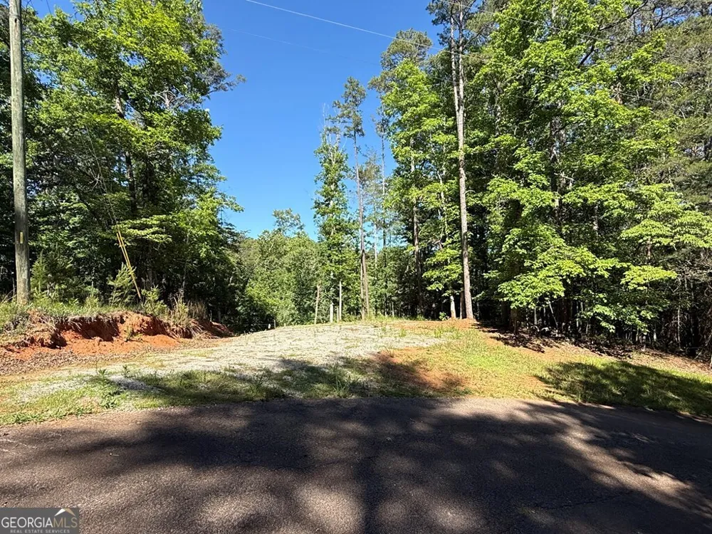 0 Limber Lost TRL Cleveland, GA 30528