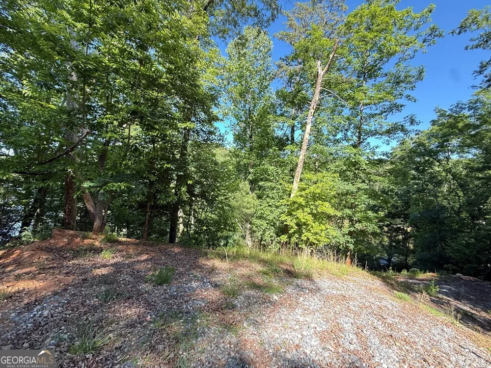0 Limber Lost TRL Cleveland, GA 30528