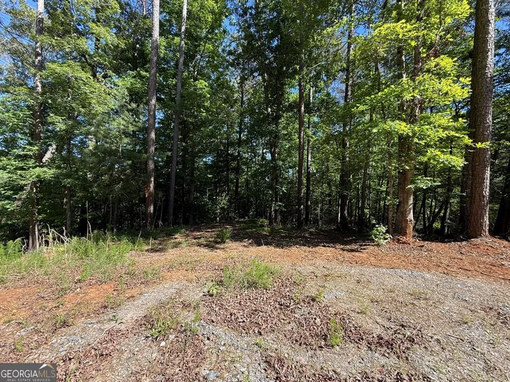 0 Limber Lost TRL Cleveland, GA 30528
