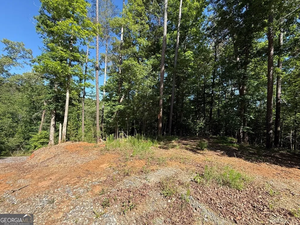 0 Limber Lost TRL Cleveland, GA 30528