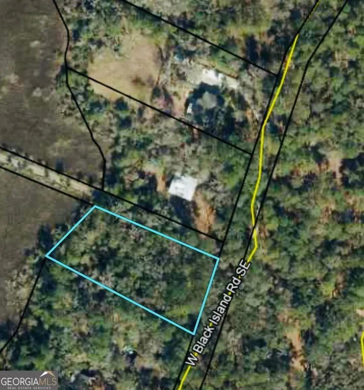0 W BLACK ISLAND RD SE Darien, GA 31305