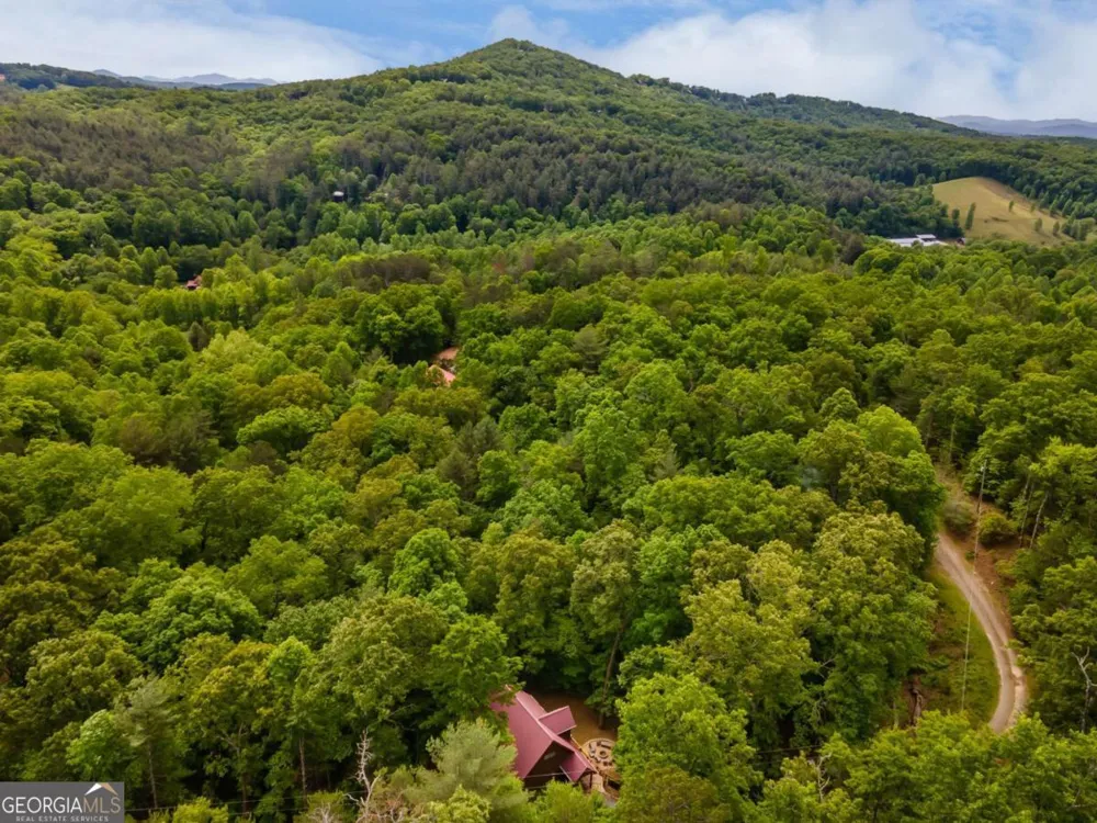 294 Oakwood TRL Mineral Bluff, GA 30559