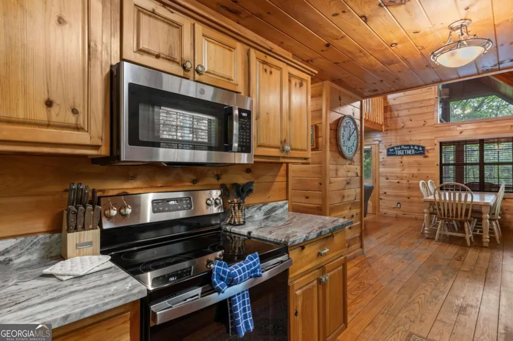 294 Oakwood TRL Mineral Bluff, GA 30559