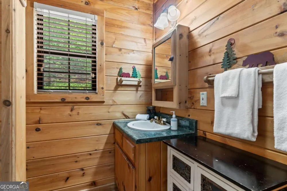 294 Oakwood TRL Mineral Bluff, GA 30559