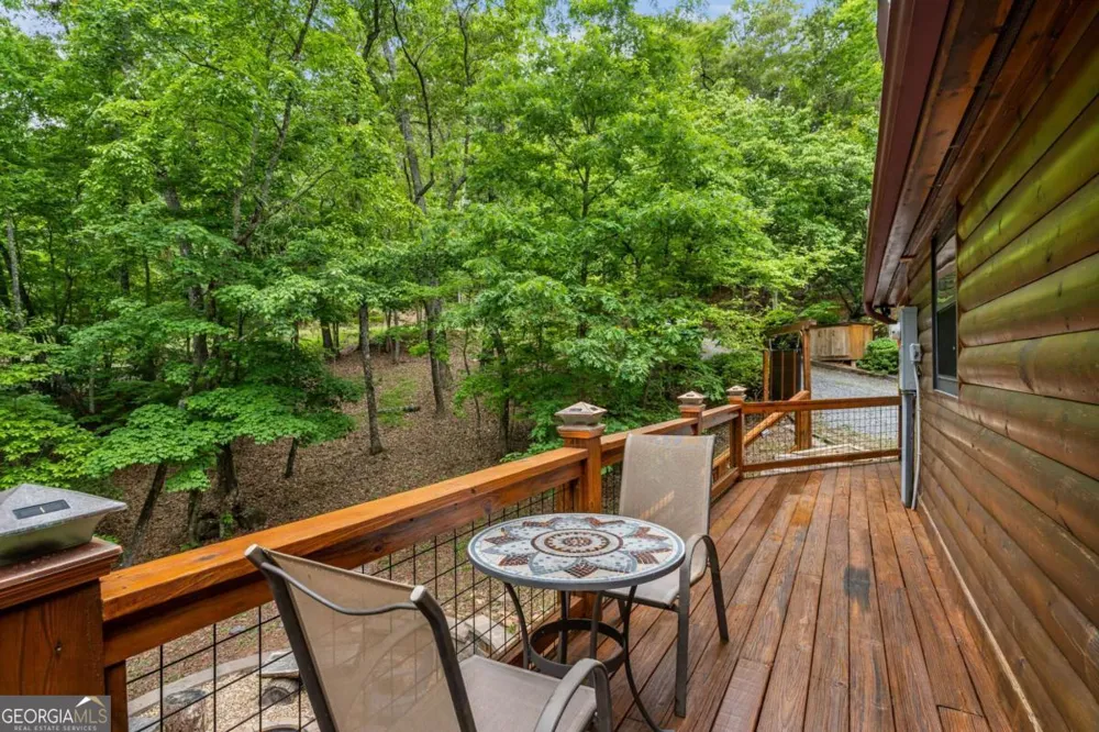 294 Oakwood TRL Mineral Bluff, GA 30559