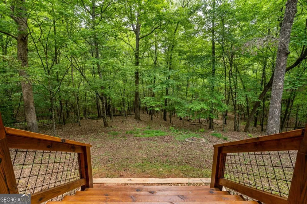294 Oakwood TRL Mineral Bluff, GA 30559