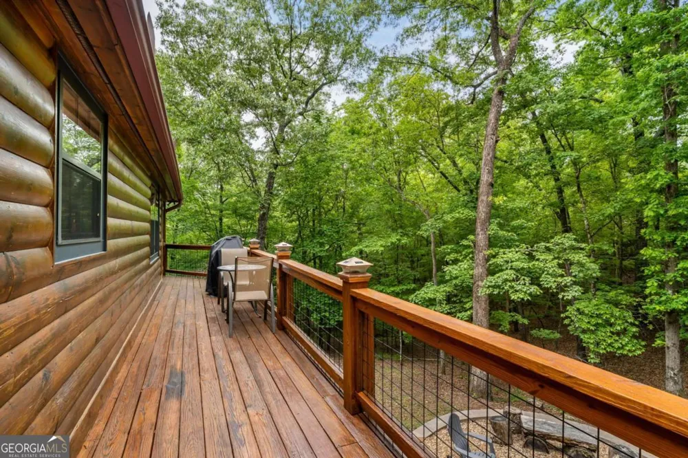 294 Oakwood TRL Mineral Bluff, GA 30559