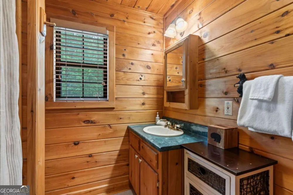 294 Oakwood TRL Mineral Bluff, GA 30559
