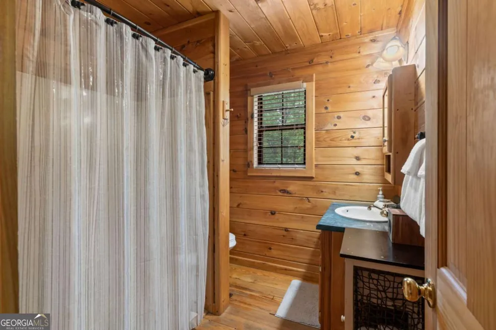 294 Oakwood TRL Mineral Bluff, GA 30559