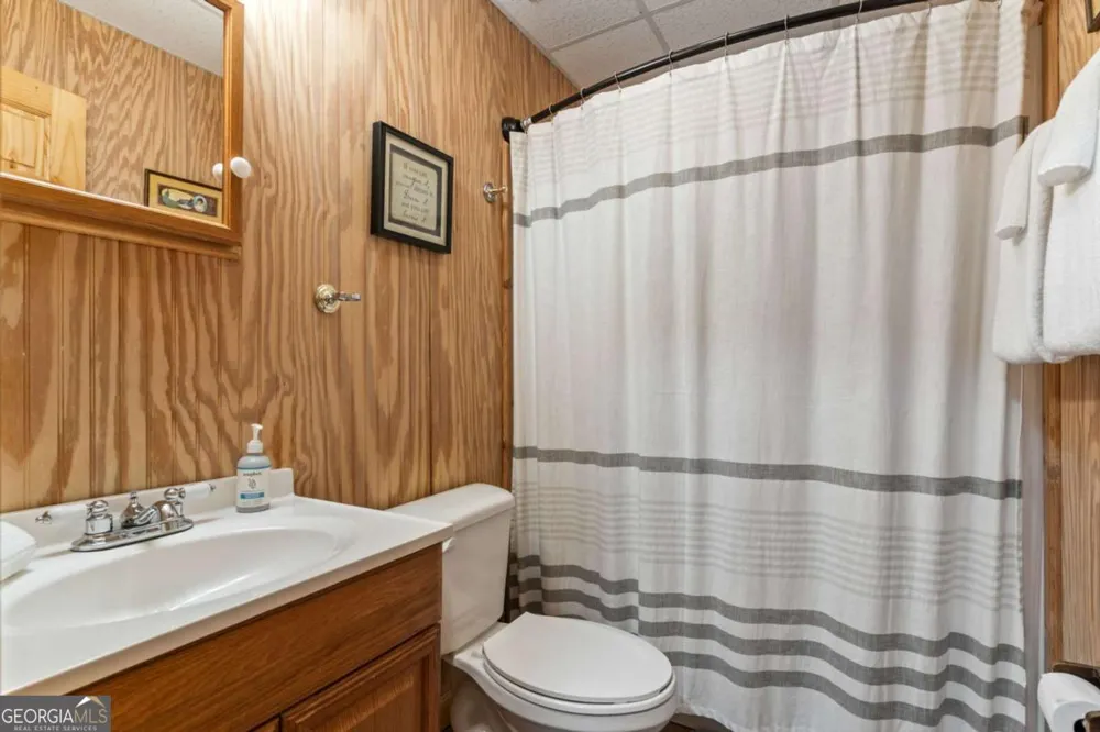 294 Oakwood TRL Mineral Bluff, GA 30559