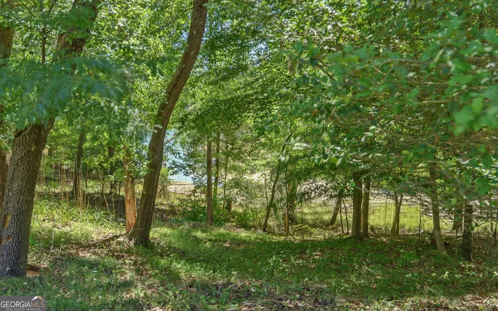 194 Harvey LN Lavonia, GA 30553
