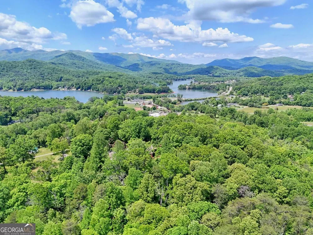 792 Bugscuffle RD Hiawassee, GA 30546