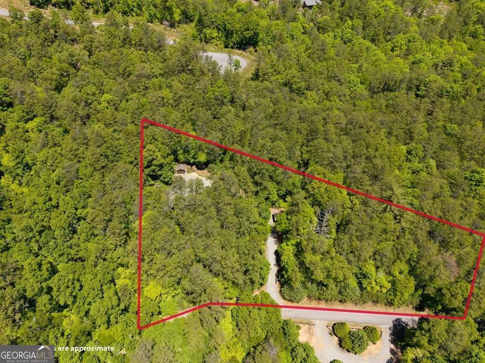 284 The Woods RD Mineral Bluff, GA 30559