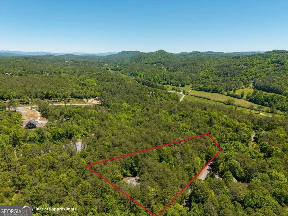 284 The Woods RD Mineral Bluff, GA 30559