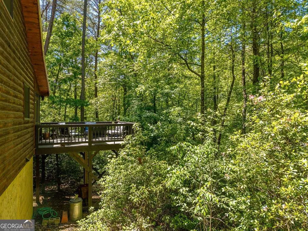 284 The Woods RD Mineral Bluff, GA 30559