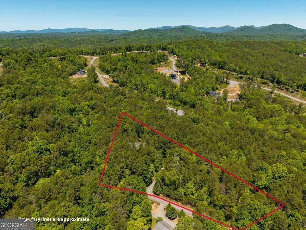 284 The Woods RD Mineral Bluff, GA 30559