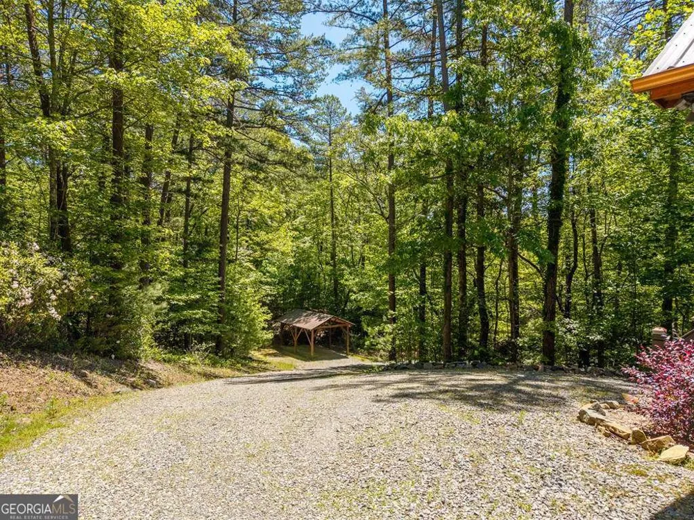 284 The Woods RD Mineral Bluff, GA 30559