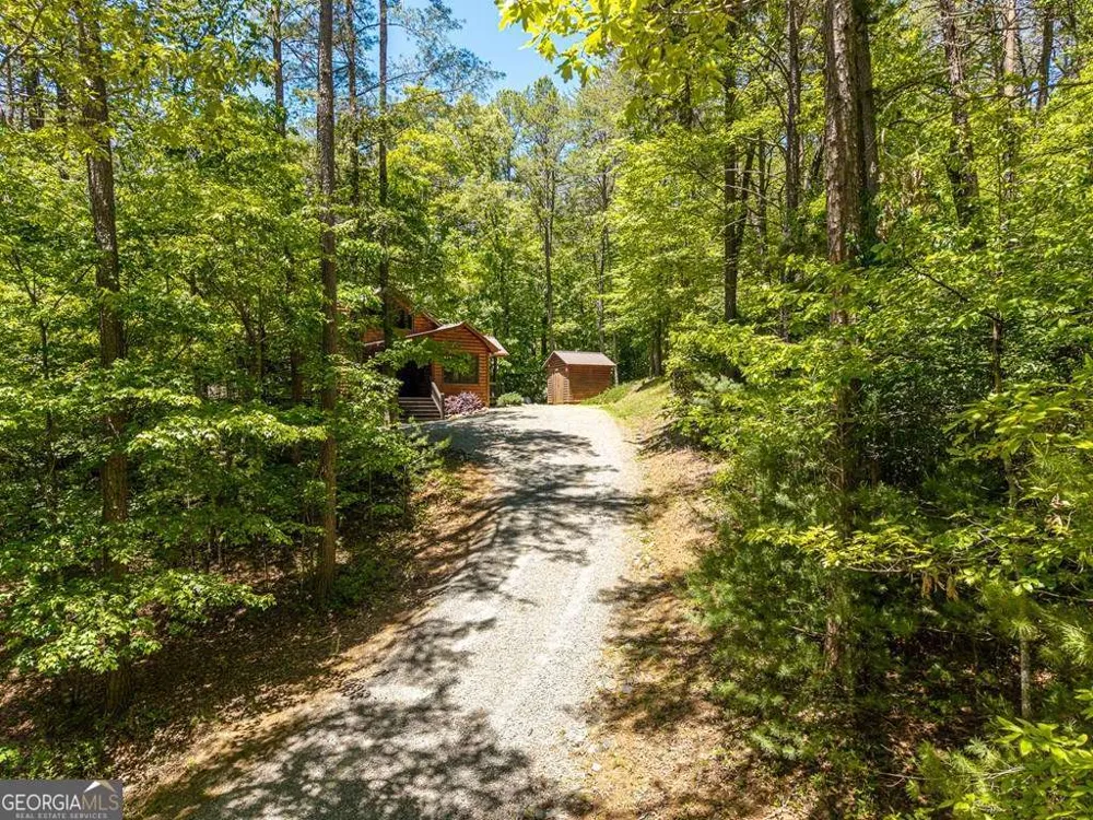 284 The Woods RD Mineral Bluff, GA 30559