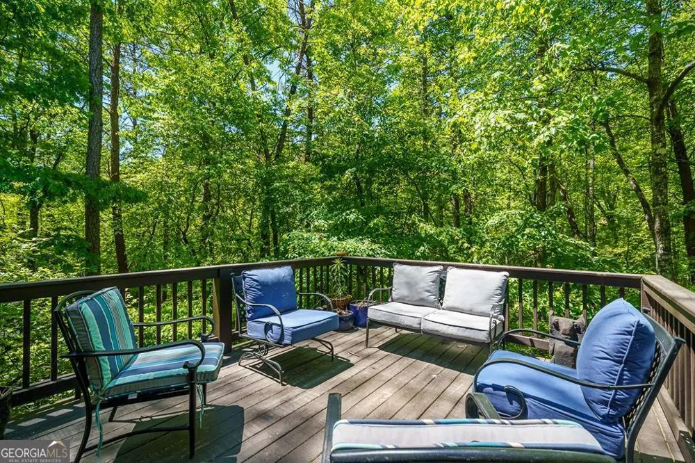 284 The Woods RD Mineral Bluff, GA 30559