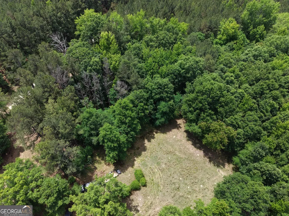 715 Fulsome Creek RD Sparta, GA 31087