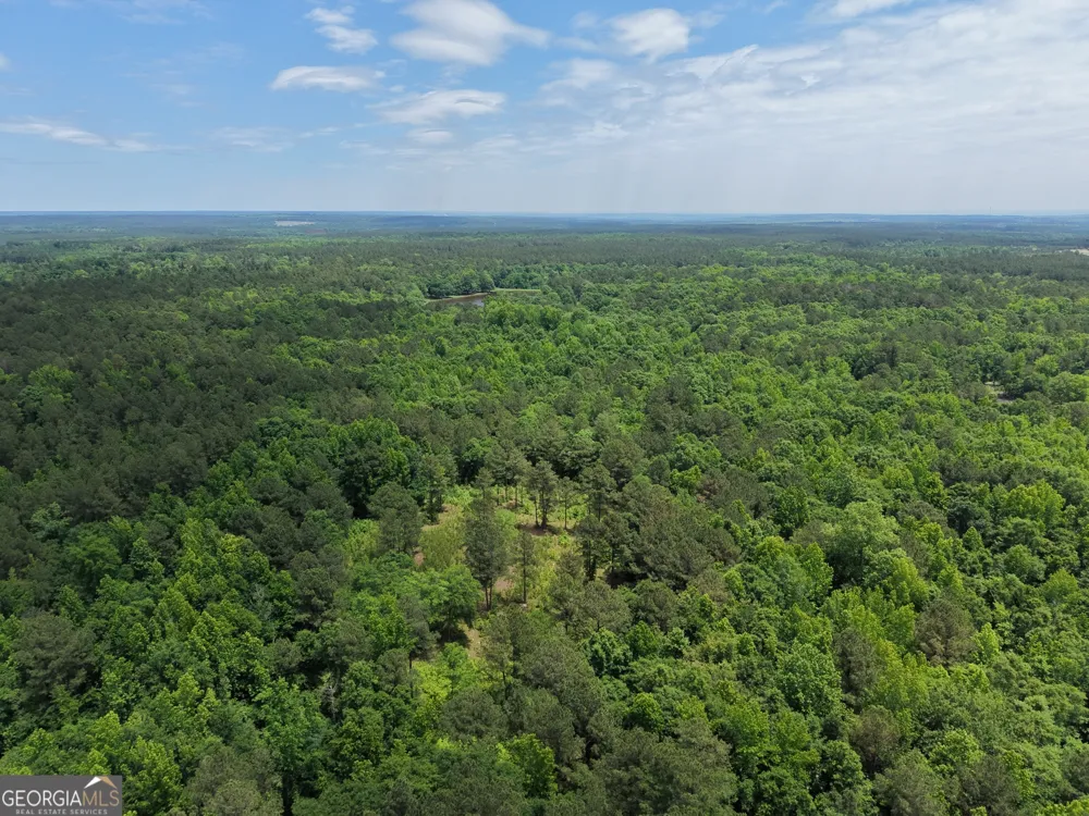715 Fulsome Creek RD Sparta, GA 31087