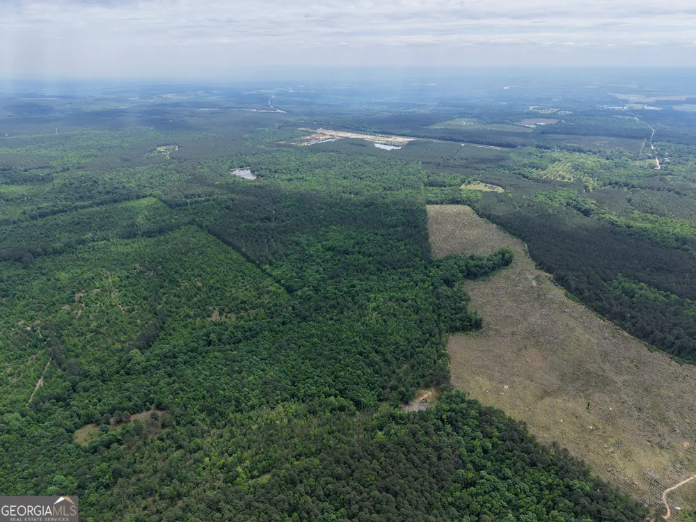 715 Fulsome Creek RD Sparta, GA 31087