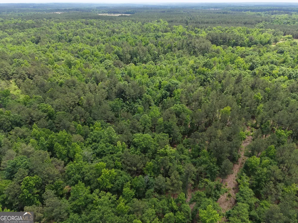 715 Fulsome Creek RD Sparta, GA 31087