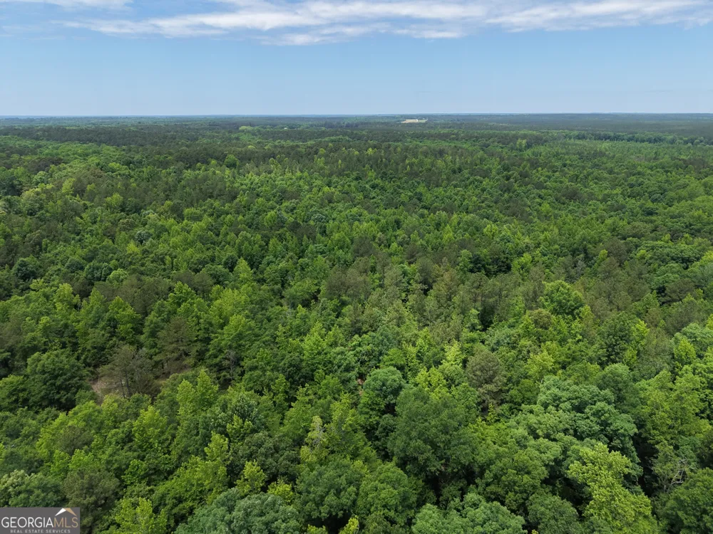 715 Fulsome Creek RD Sparta, GA 31087