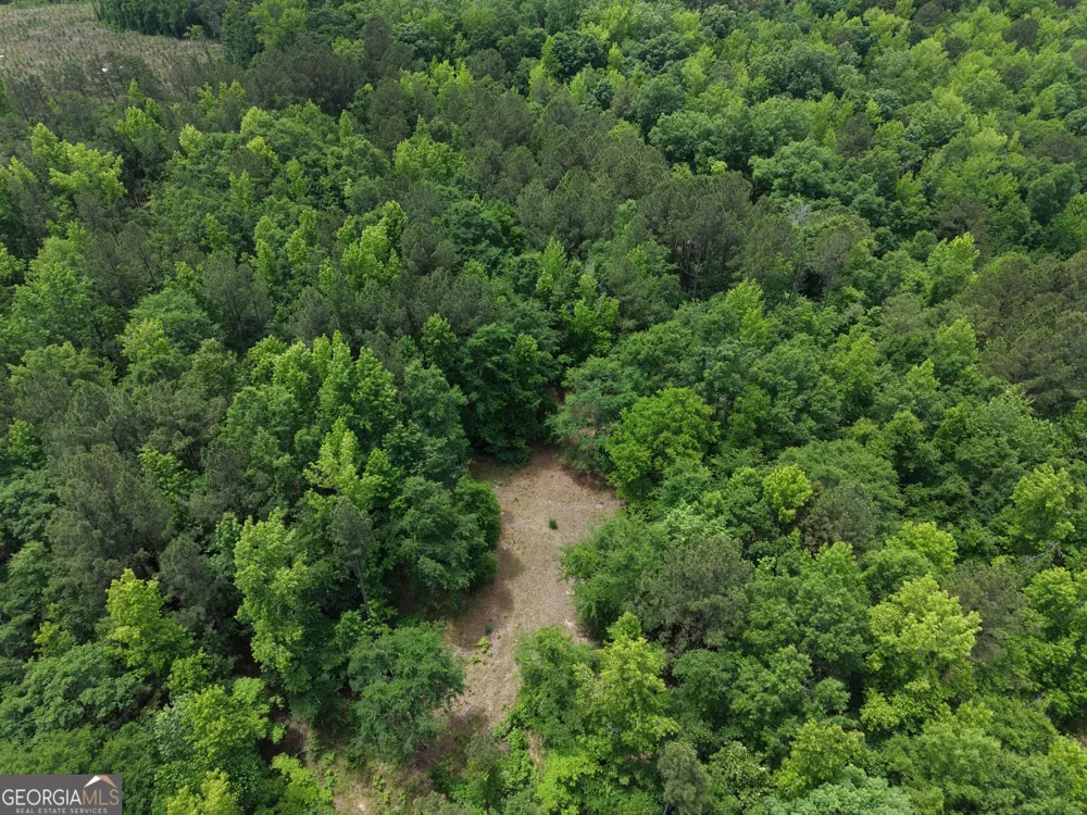 715 Fulsome Creek RD Sparta, GA 31087
