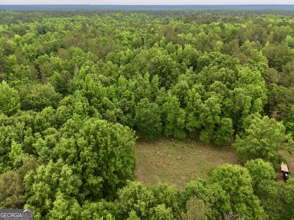 715 Fulsome Creek RD Sparta, GA 31087