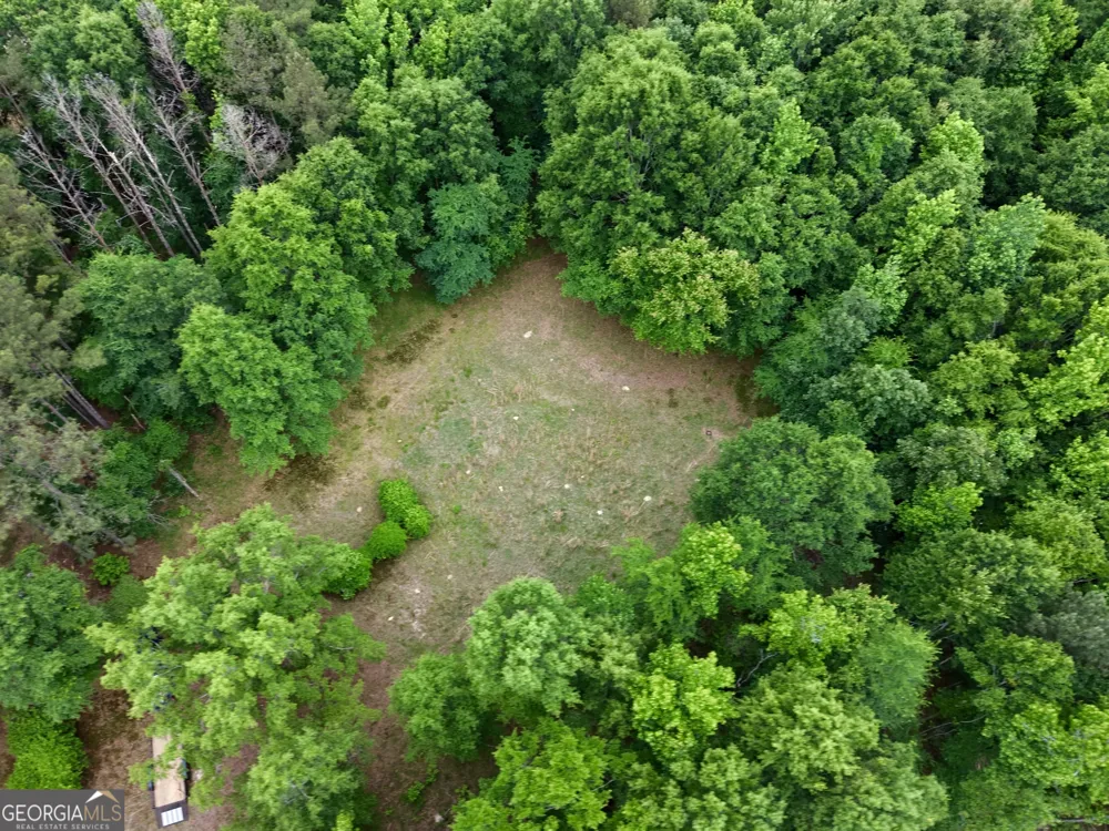 715 Fulsome Creek RD Sparta, GA 31087