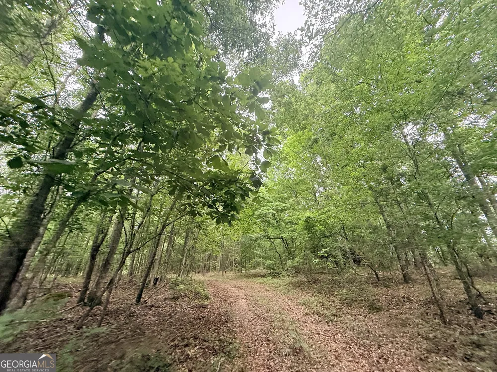 715 Fulsome Creek RD Sparta, GA 31087
