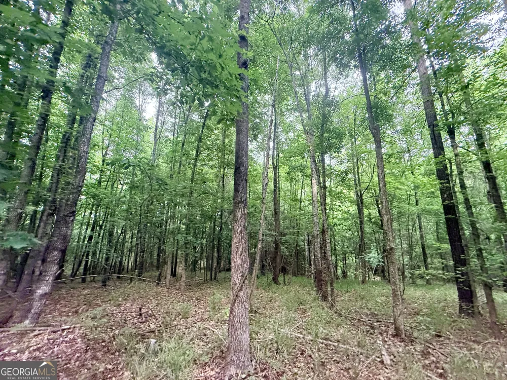715 Fulsome Creek RD Sparta, GA 31087