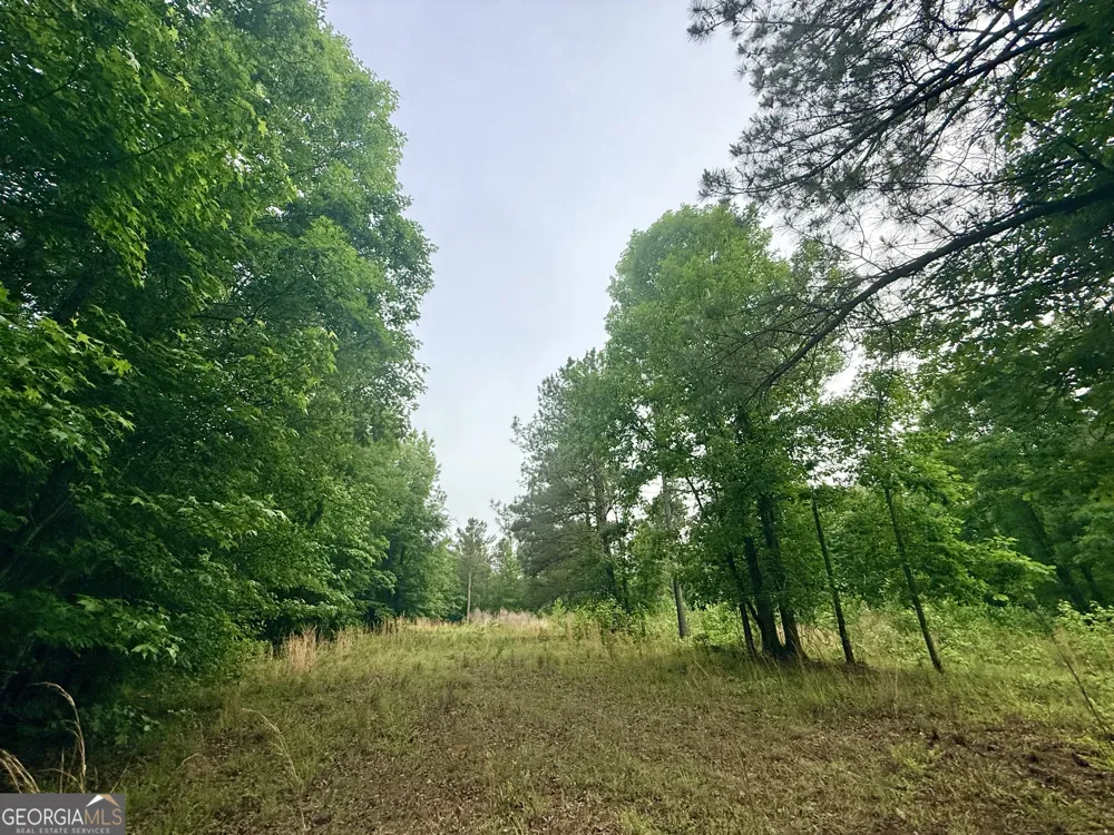 715 Fulsome Creek RD Sparta, GA 31087
