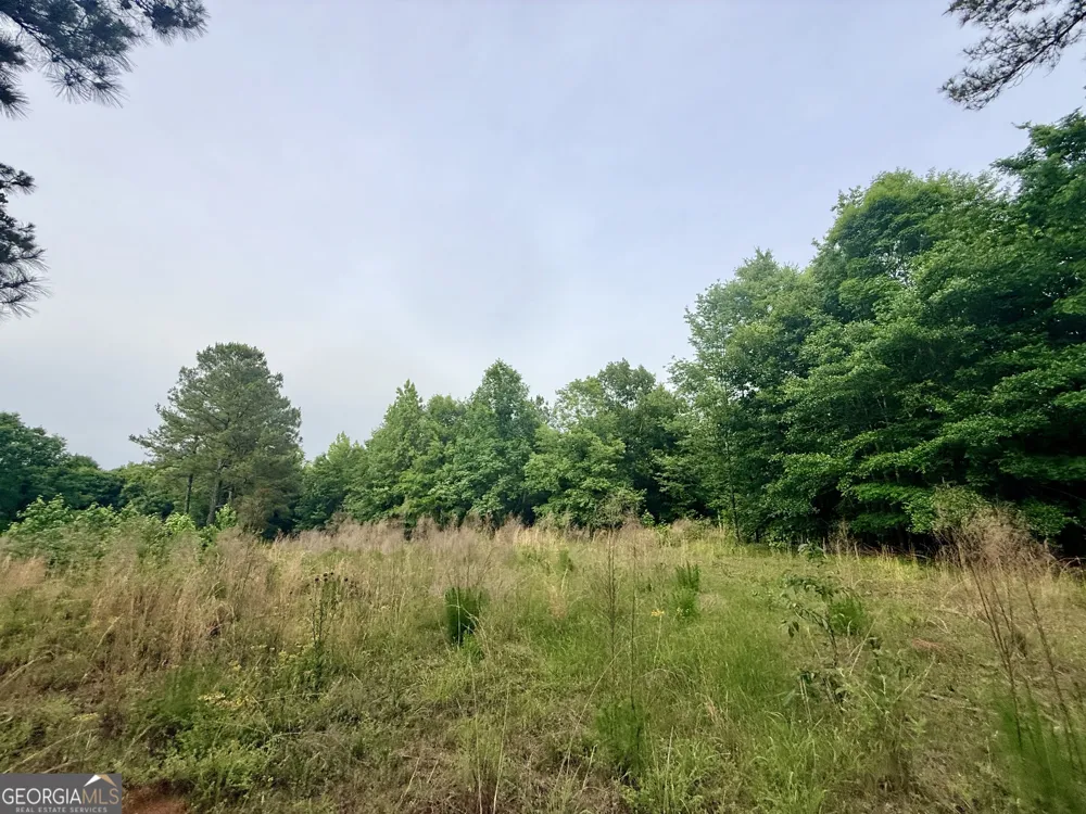 715 Fulsome Creek RD Sparta, GA 31087