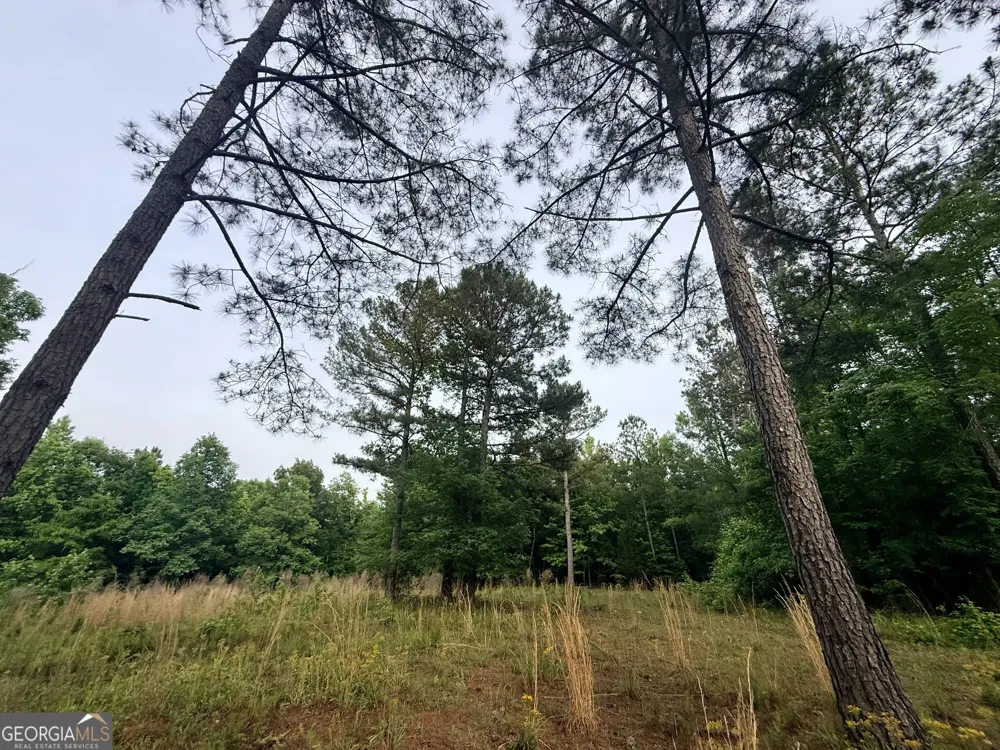 715 Fulsome Creek RD Sparta, GA 31087