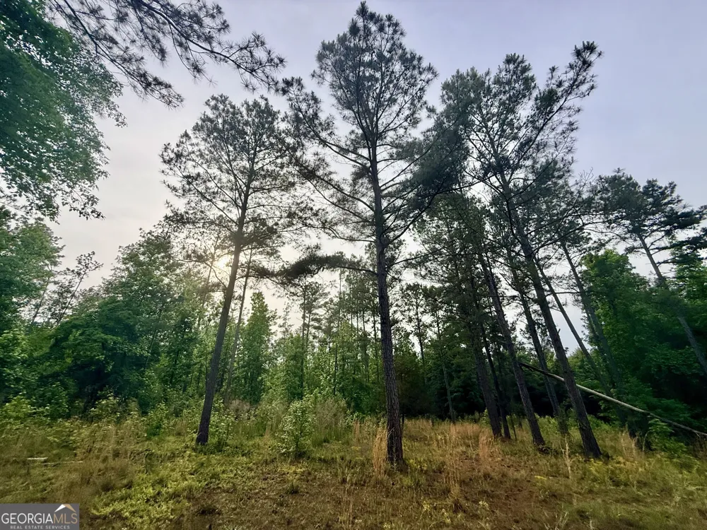 715 Fulsome Creek RD Sparta, GA 31087